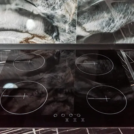 Escape By Pikhost * Shkodër